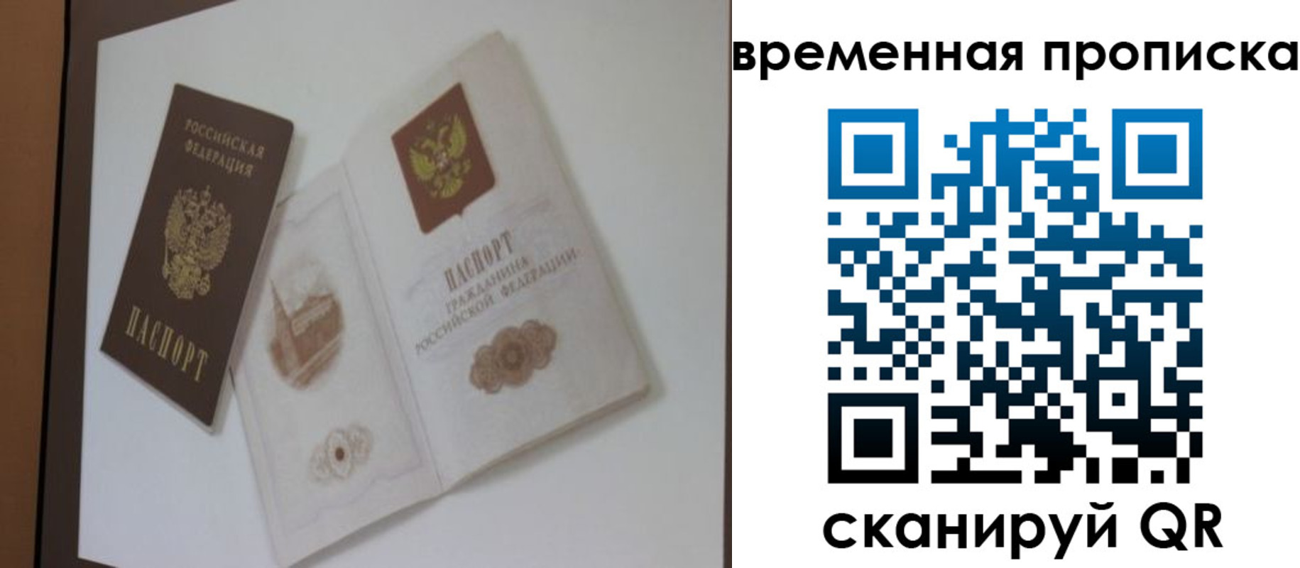прописка 2025 в Сольцах